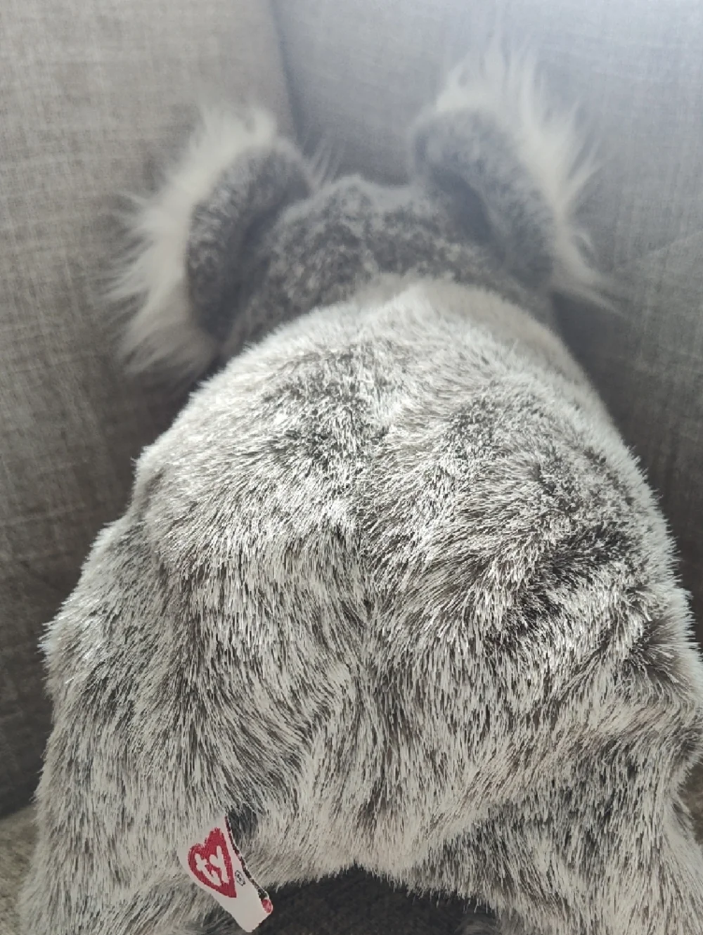 Ty Company Beaut, The Gray and White Plush Beanie Koala Stuffed Animal